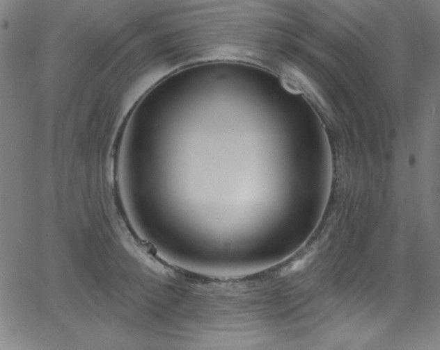 X0000068770900200604281235