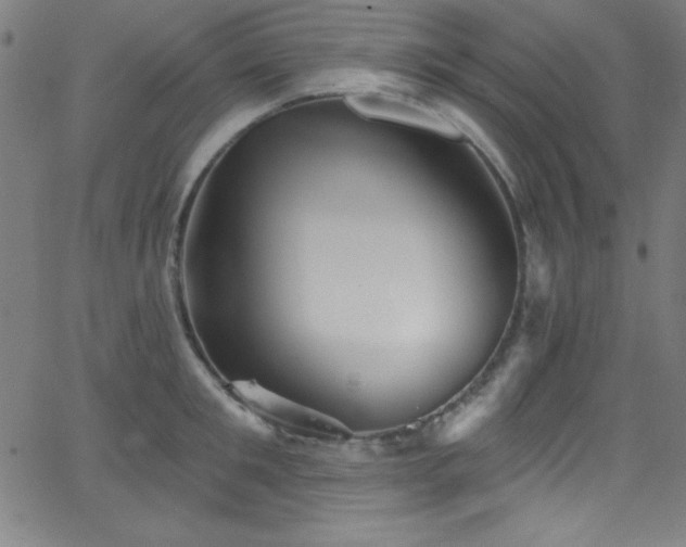 X0000068770901200604281235