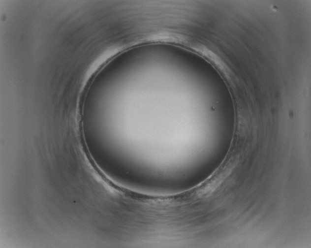 X0000068770902200604281235