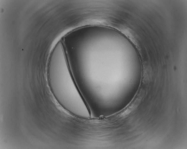 X0000068770904200604281235