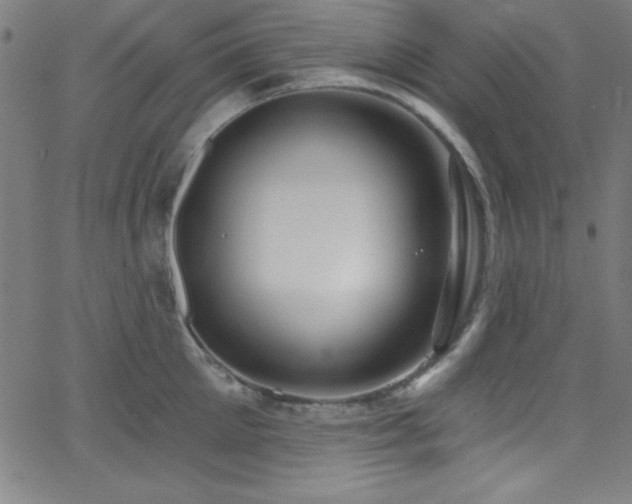 X0000068770905200604281235