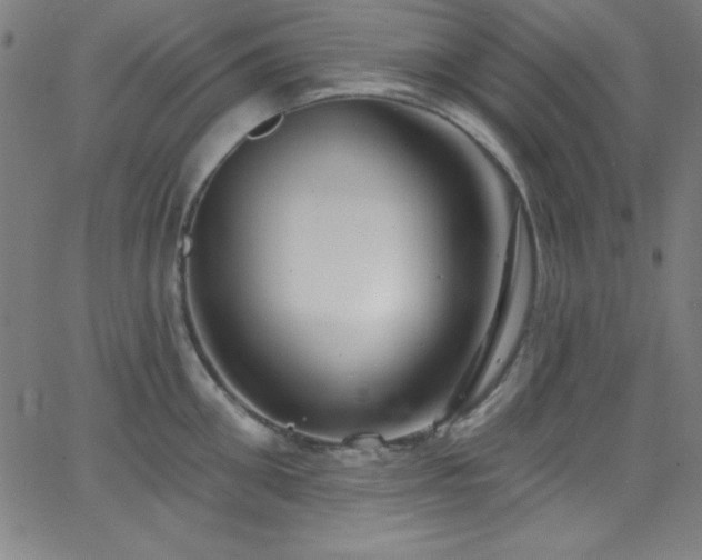 X0000068770906200604281235