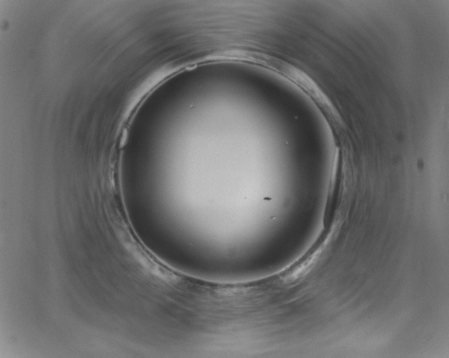 X0000068770908200604281235