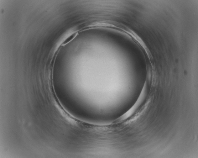 X0000068770909200604281235