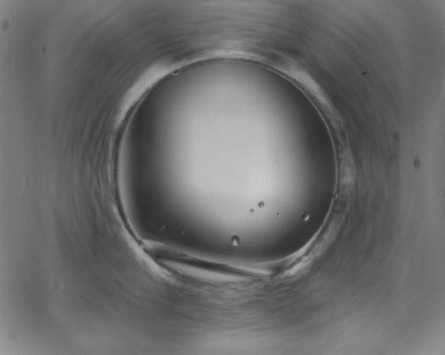 X0000068770910200604281235