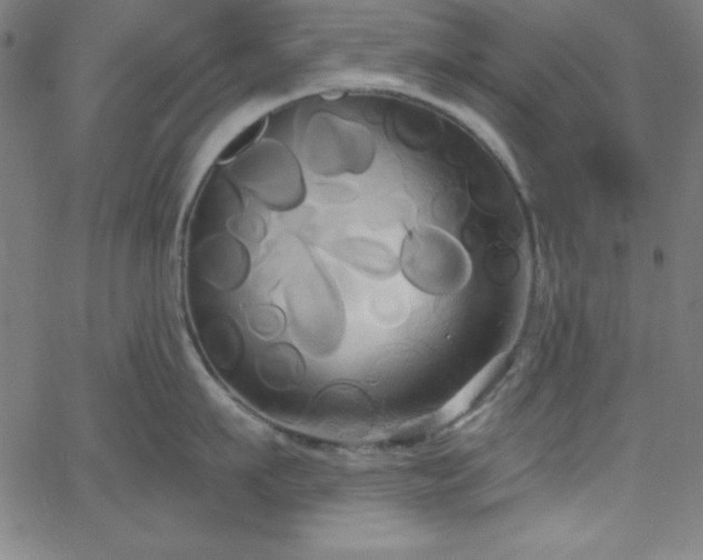 X0000068770911200604281235