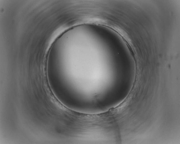 X0000068770912200604281235