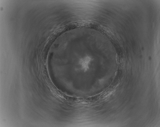 X0000068770913200604281234