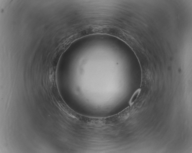 X0000068770914200604281234