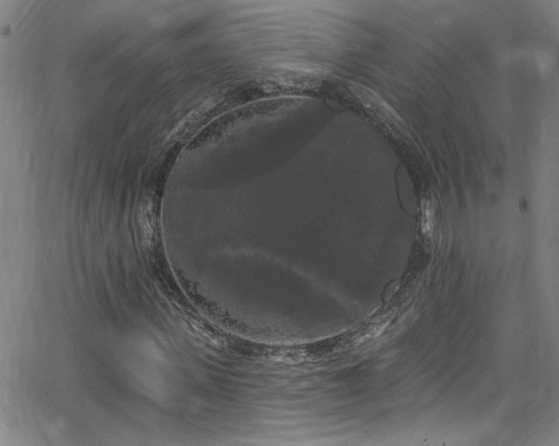 X0000068770915200604281234