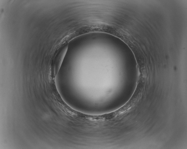 X0000068770916200604281234