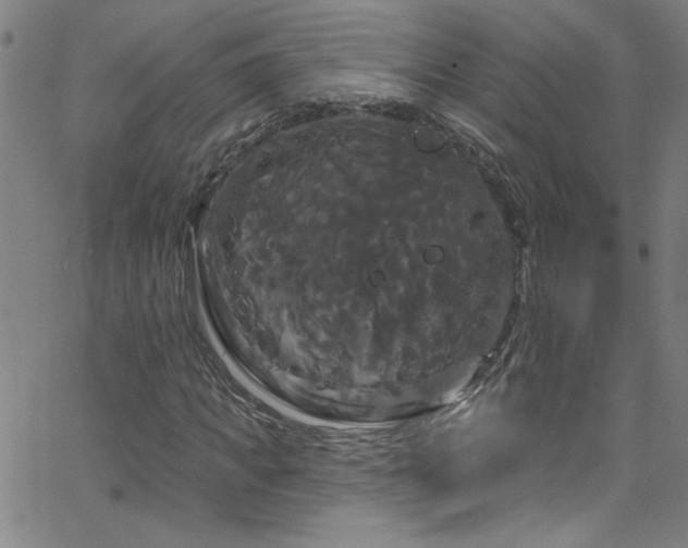 X0000068770917200604281234