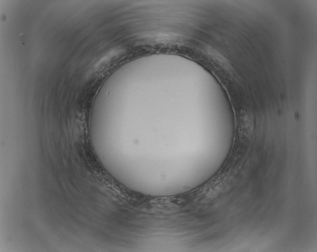 X0000068770918200604281234