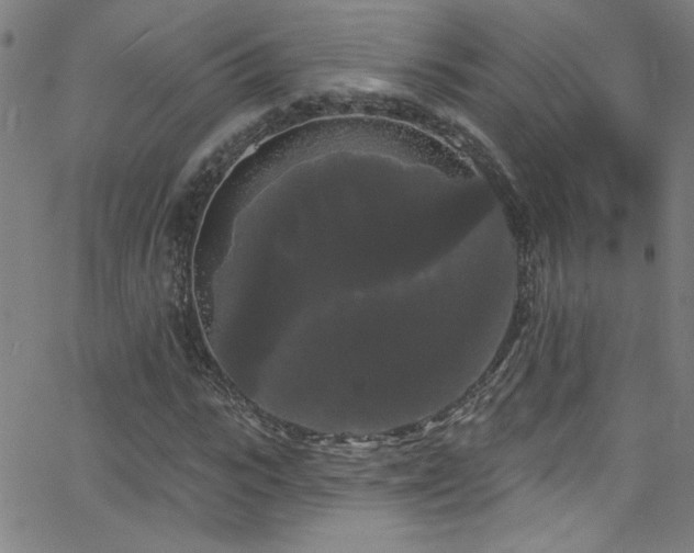 X0000068770919200604281234