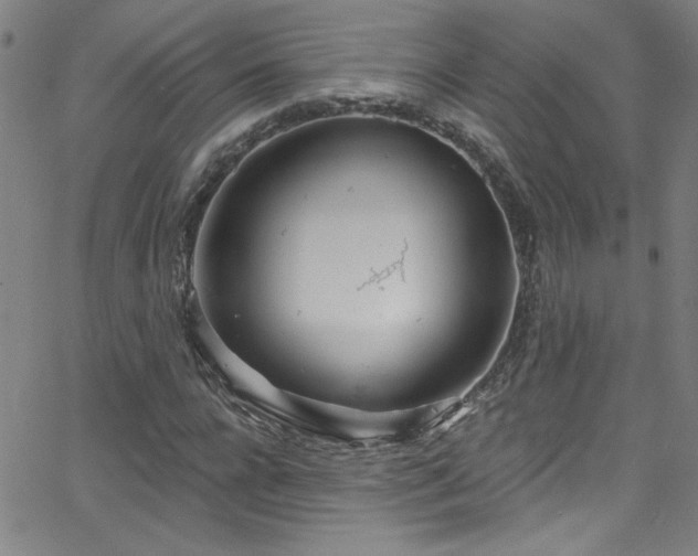 X0000068770920200604281234