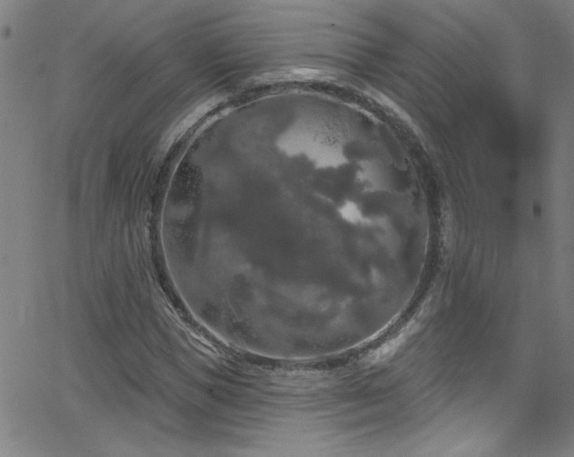 X0000068770921200604281234