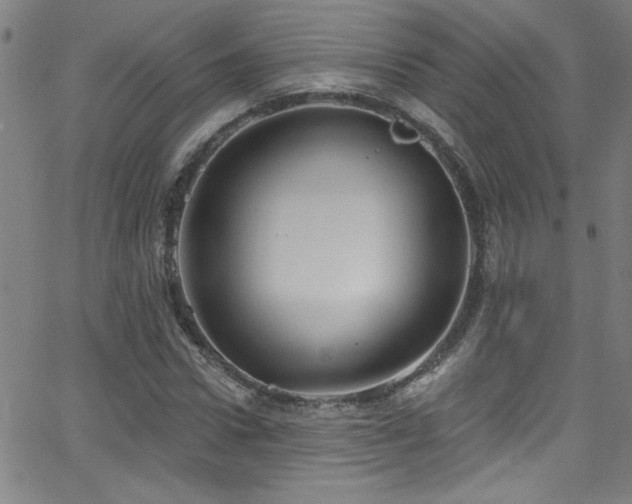 X0000068770922200604281234