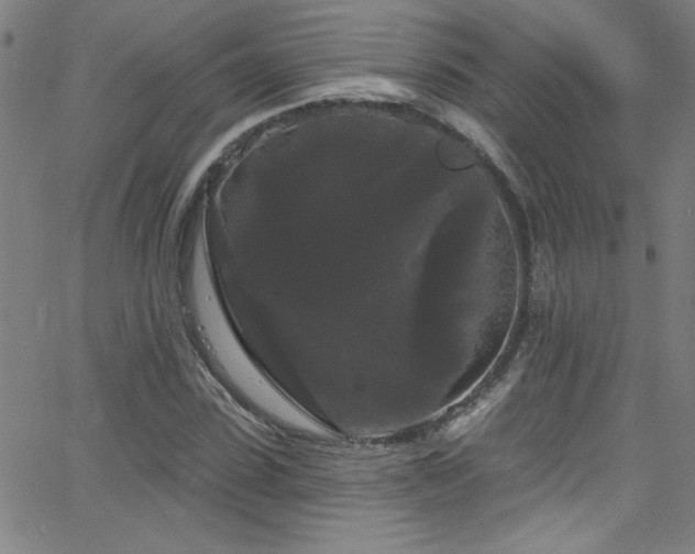 X0000068770923200604281234