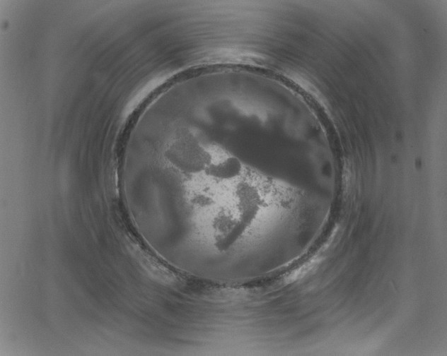 X0000068770925200604281234