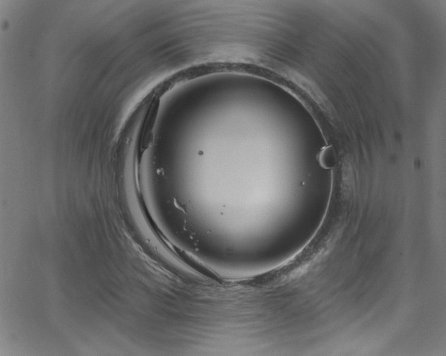 X0000068770926200604281234