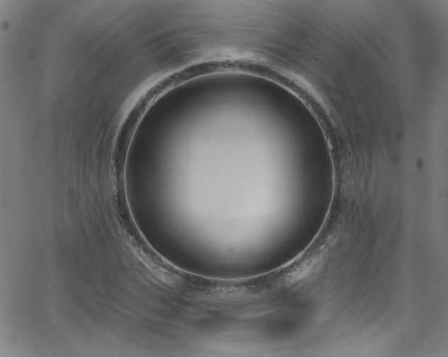 X0000068770927200604281234