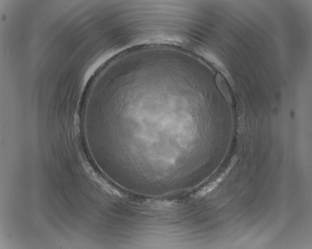 X0000068770928200604281234