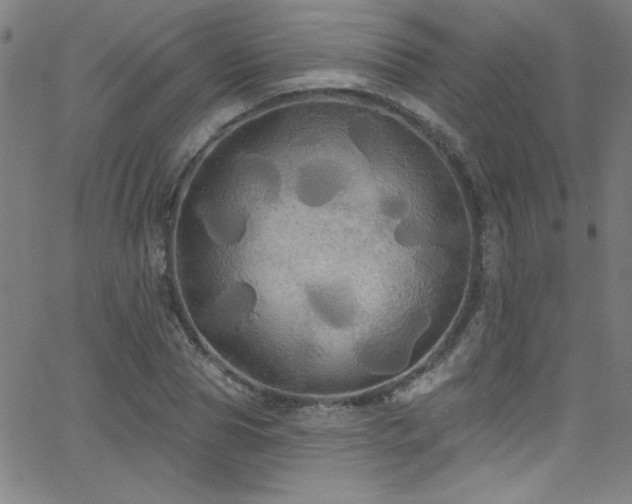 X0000068770929200604281234