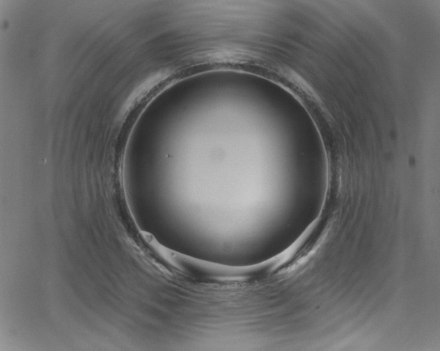 X0000068770930200604281234