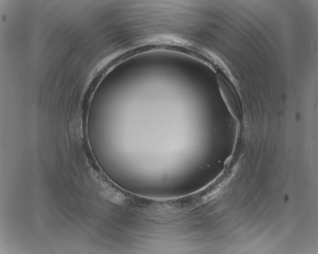 X0000068770931200604281234