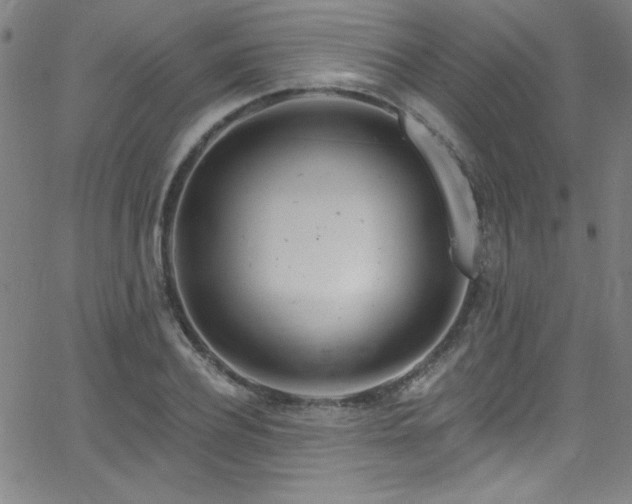 X0000068770932200604281234