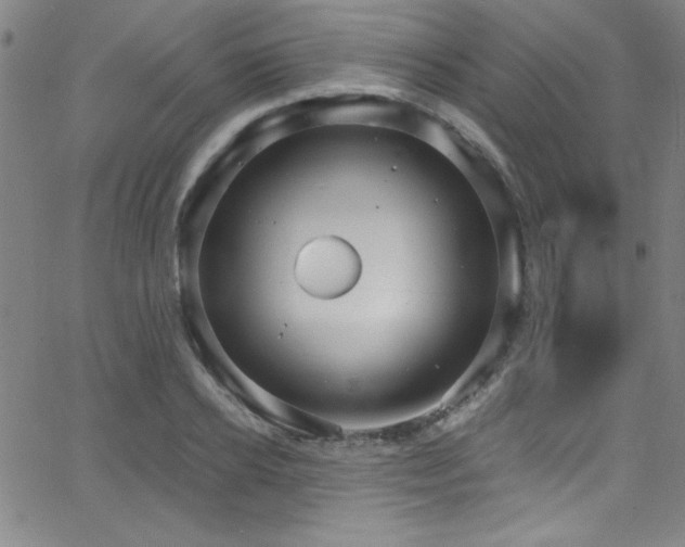 X0000068770934200604281234