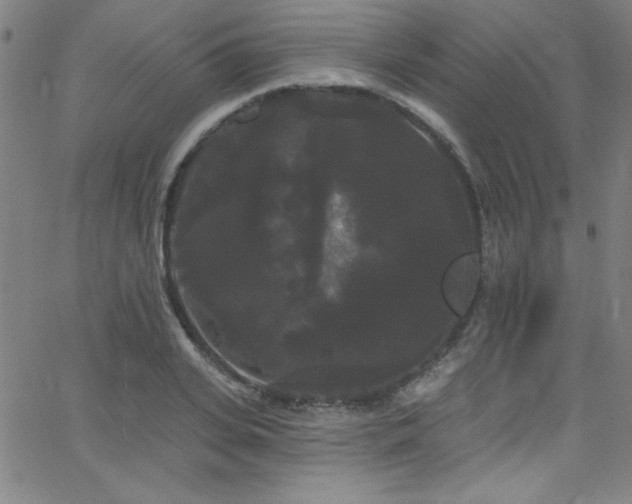 X0000068770935200604281234