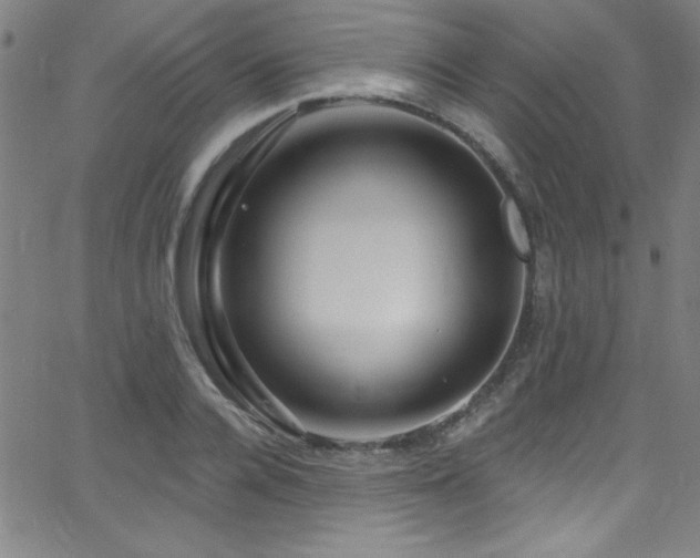 X0000068770936200604281234