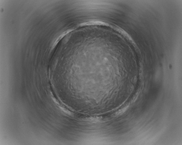 X0000068770937200604281234