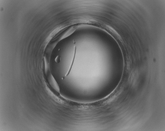 X0000068770938200604281235