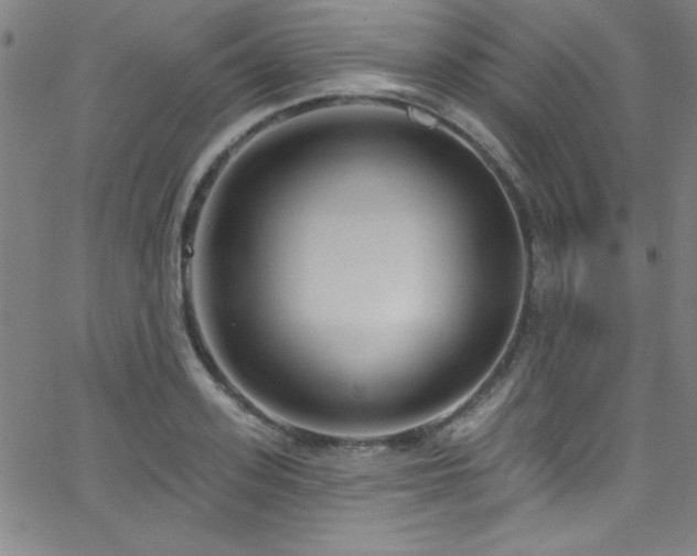 X0000068770939200604281235