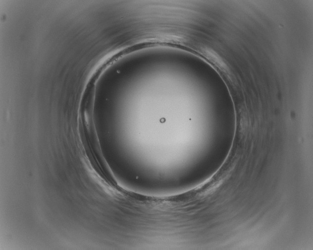 X0000068770940200604281235