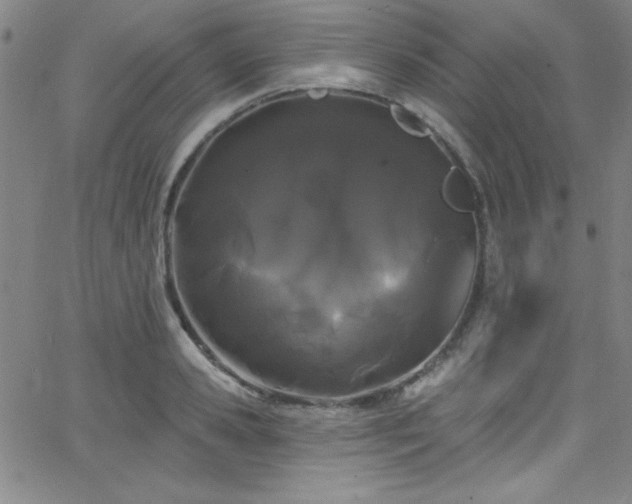 X0000068770941200604281235