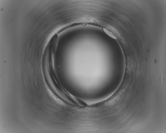 X0000068770942200604281235