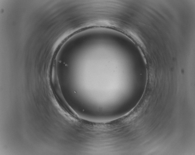 X0000068770944200604281235