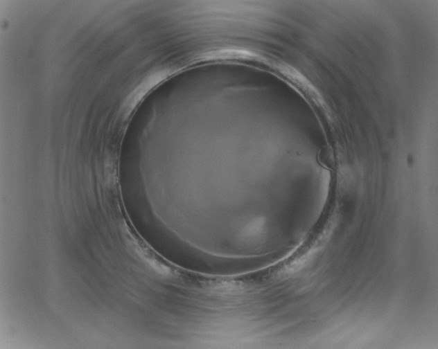 X0000068770945200604281235