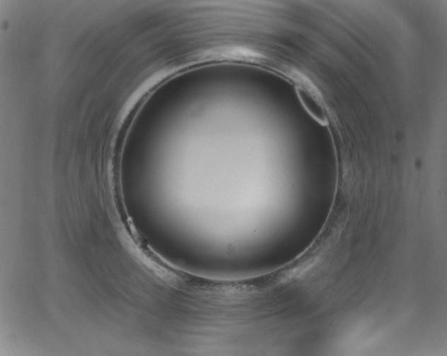 X0000068770947200604281235