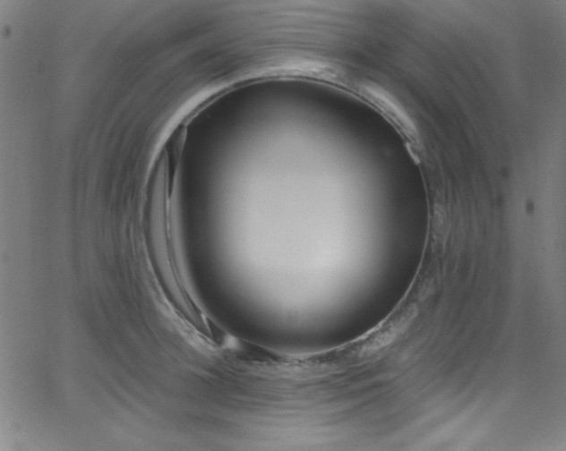 X0000068770948200604281235