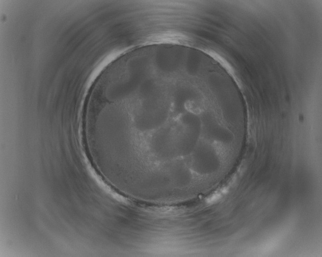 X0000068770949200604281235