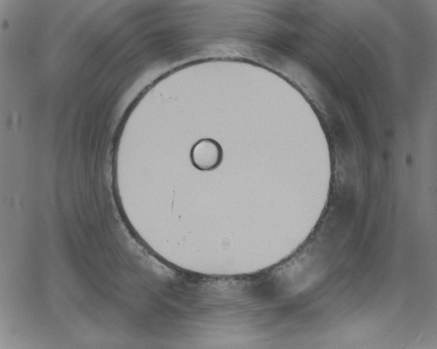 X0000068770950200604281235