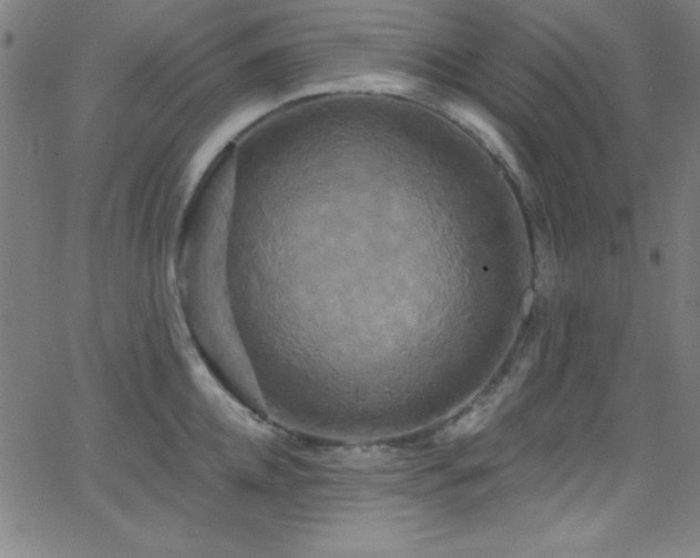 X0000068770952200604281235