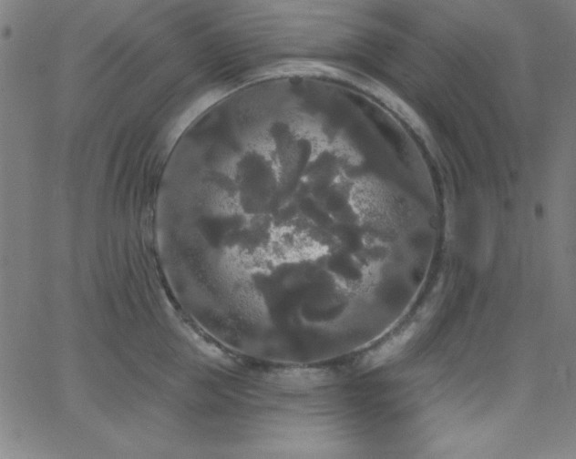 X0000068770953200604281235