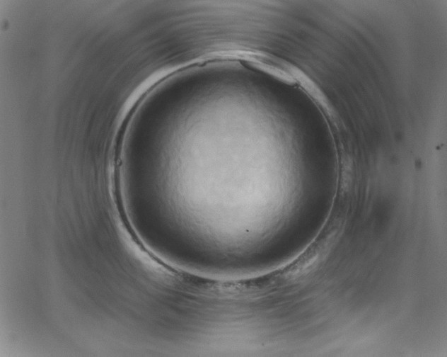 X0000068770955200604281235