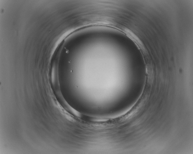 X0000068770956200604281235