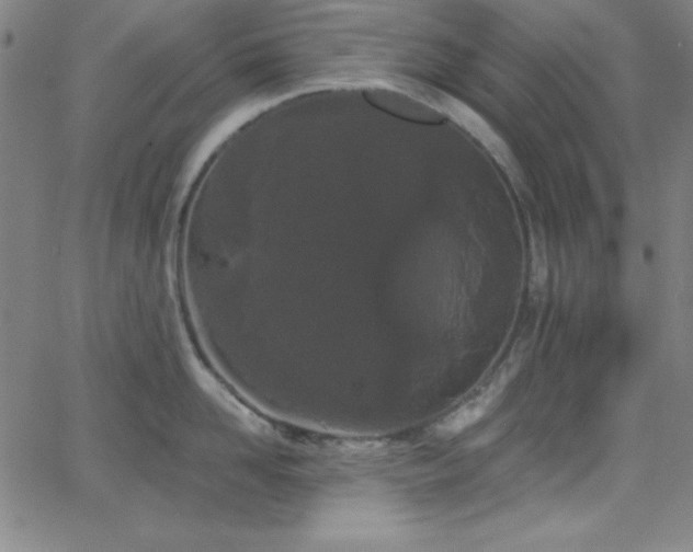 X0000068770958200604281235